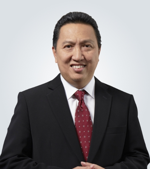 Garibaldi Thohir